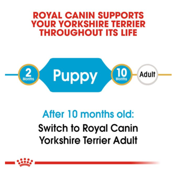 Royal Canin Puppy Yorkshire