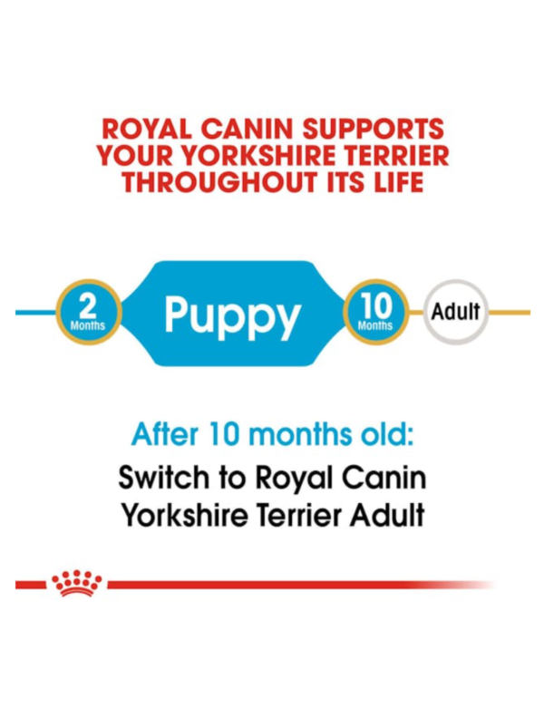Royal Canin Puppy Yorkshire Royal Canin Puppy Yorkshire