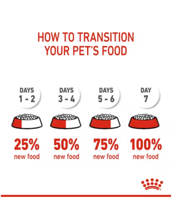 Royal Canin Medium Starter