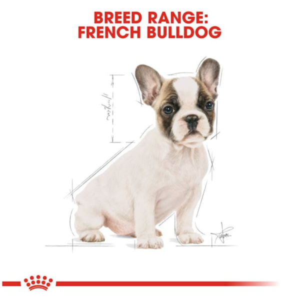 Royal Canin Puppy French Bulldog