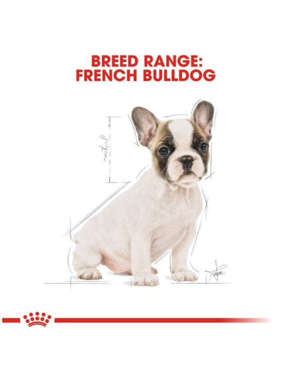 Royal Canin Puppy French Bulldog Royal Canin Puppy French Bulldog