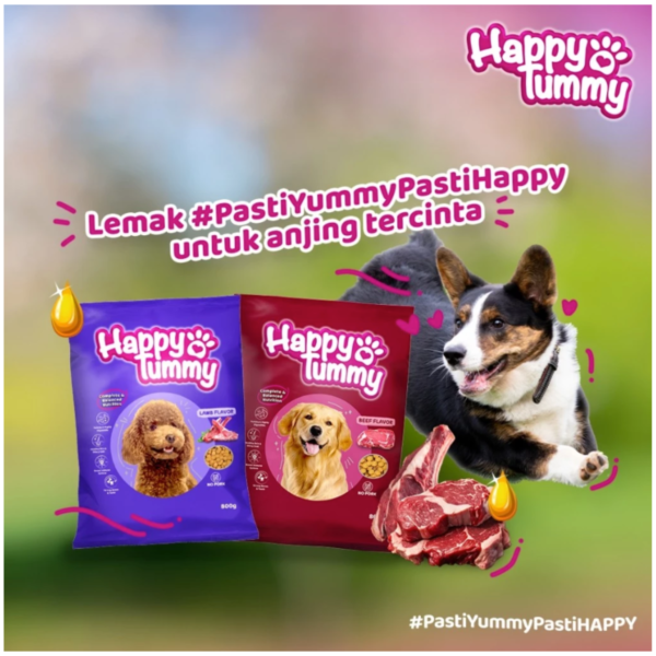 Happy Tummy Dog Food