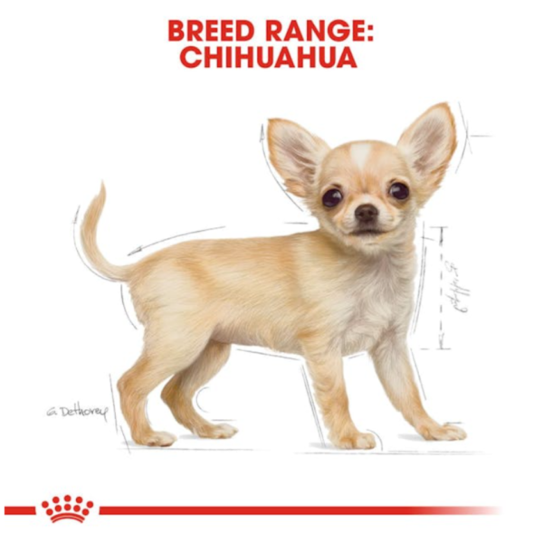 Royal Canin Puppy Chihuahua