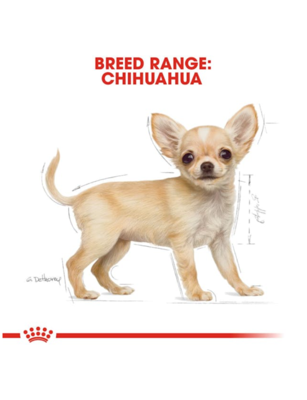 Royal Canin Puppy Chihuahua Royal Canin Puppy Chihuahua