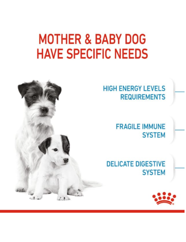 Royal Canin Mini Starter Royal Canin Mini Starter