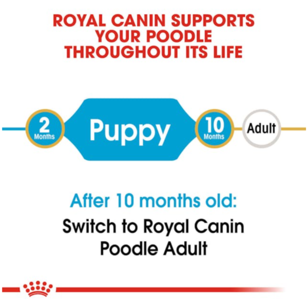 Royal Canin Puppy Poodle