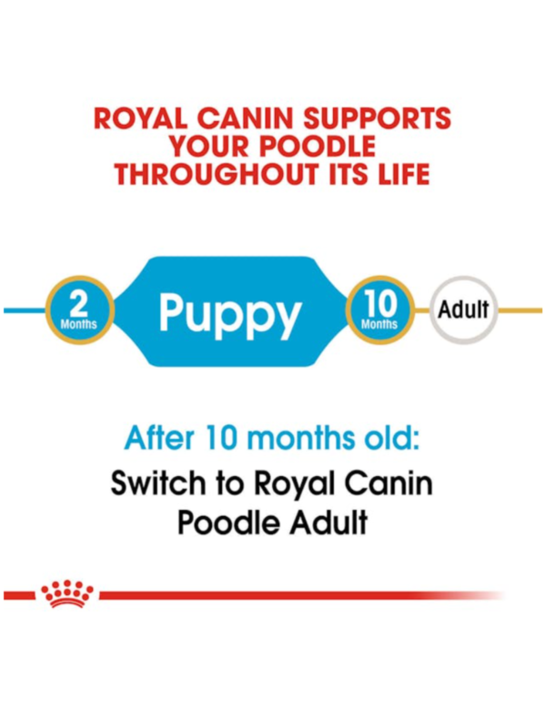 Royal Canin Puppy Poodle