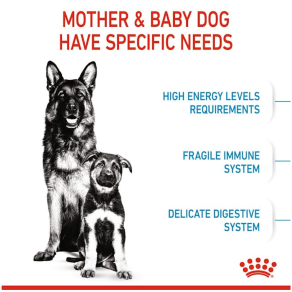 Royal Canin Maxi Starter