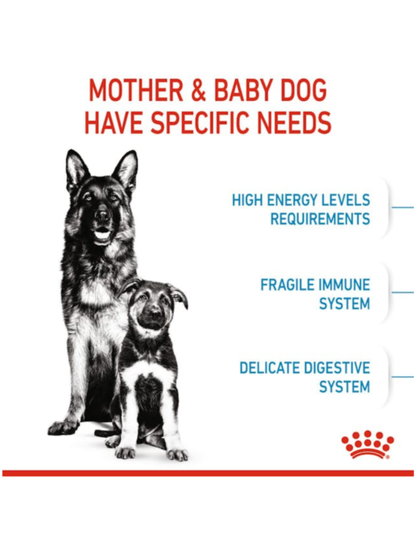 Royal Canin Maxi Starter