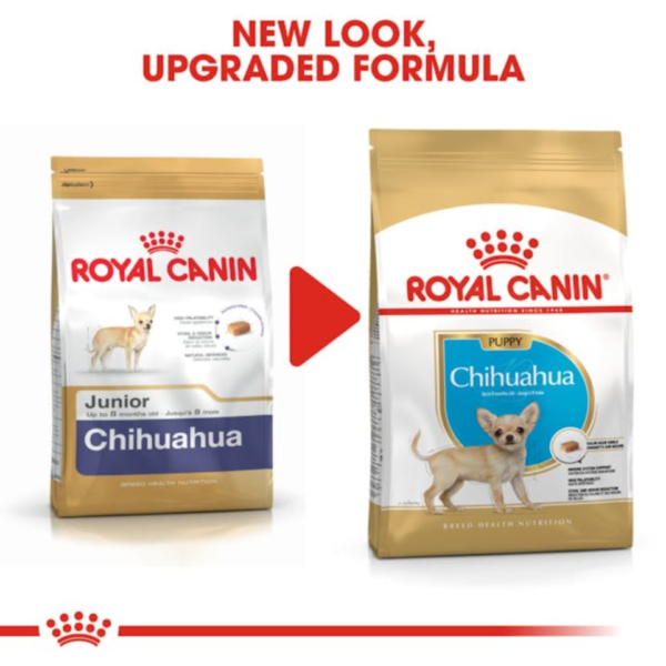 Royal Canin Puppy Chihuahua