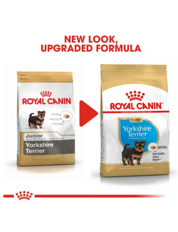 Royal Canin Puppy Yorkshire Royal Canin Puppy Yorkshire