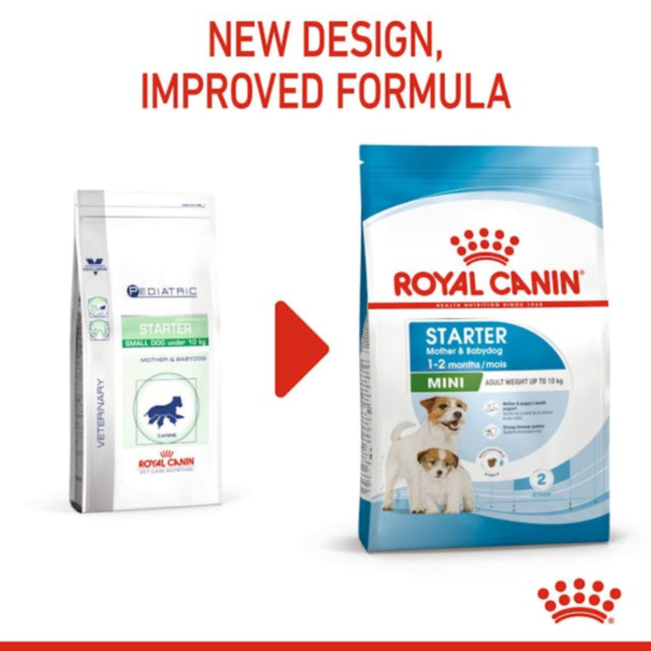 Royal Canin Mini Starter