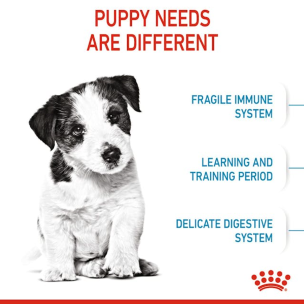 Royal Canin Puppy Mini