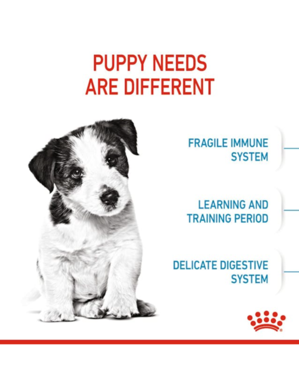 Royal Canin Puppy Mini Royal Canin Puppy Mini