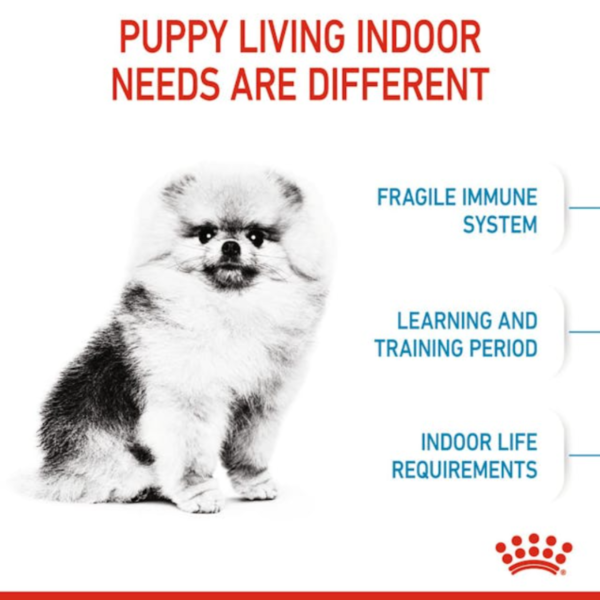 Royal Canin Puppy Mini Indoor
