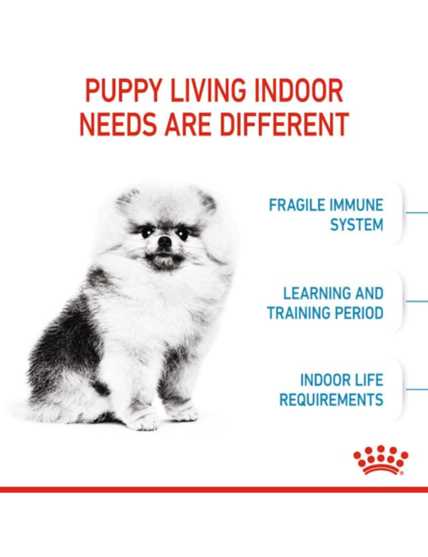 Royal Canin Puppy Mini Indoor