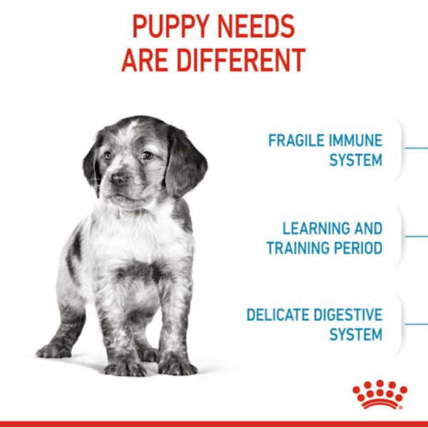 Royal Canin Puppy Medium