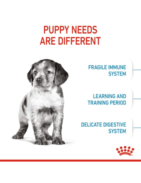 Royal Canin Puppy Medium