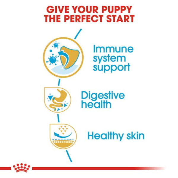 Royal Canin Puppy French Bulldog