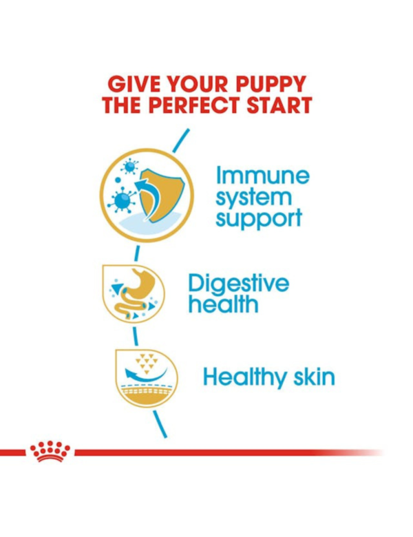 Royal Canin Puppy French Bulldog Royal Canin Puppy French Bulldog