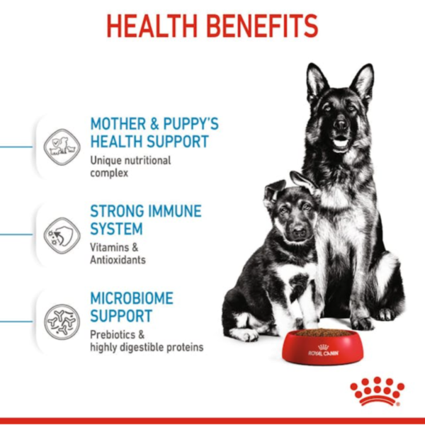 Royal Canin Maxi Starter