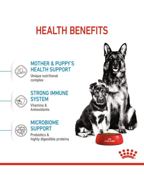Royal Canin Maxi Starter