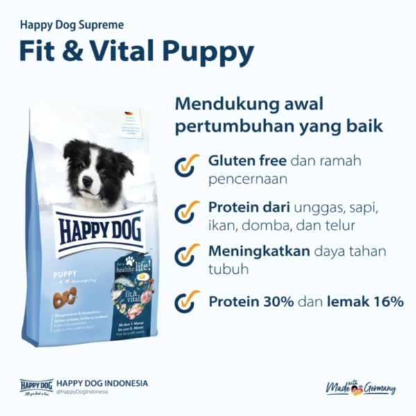 Happy Dog Puppy