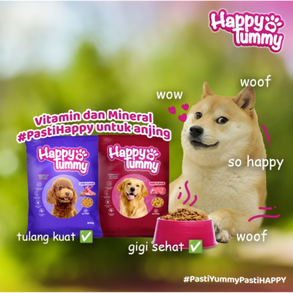 Happy Tummy Dog Food