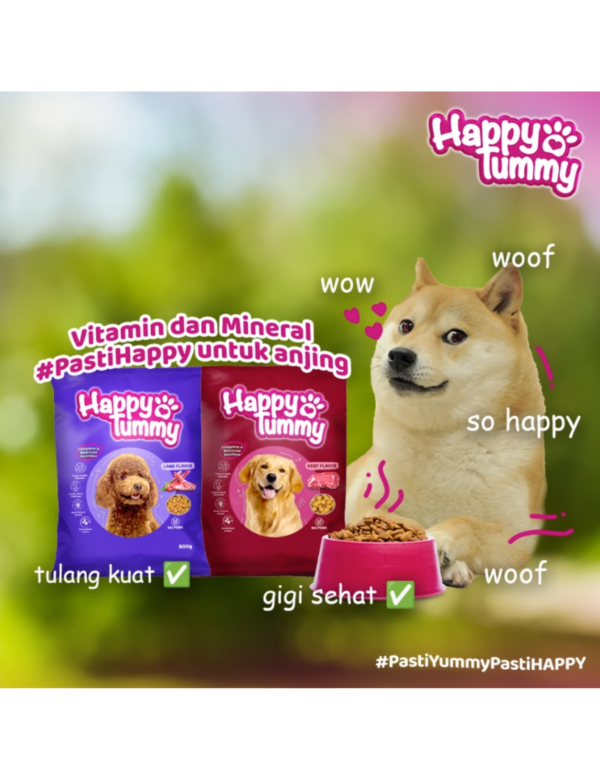 Happy Tummy Dog Food Happy Tummy Dog Food