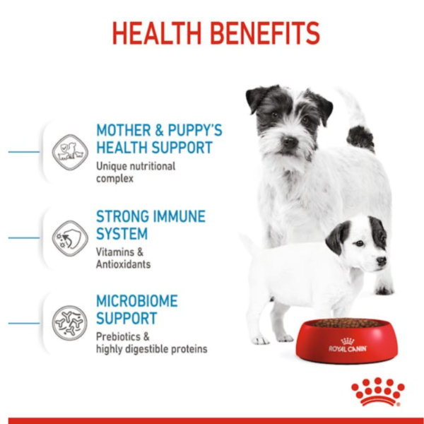 Royal Canin Mini Starter