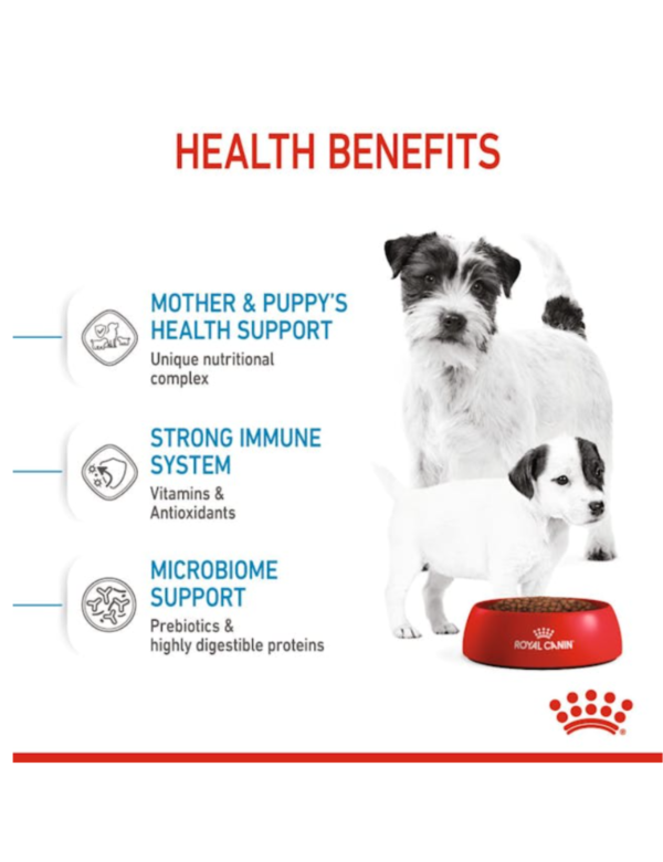 Royal Canin Mini Starter Royal Canin Mini Starter