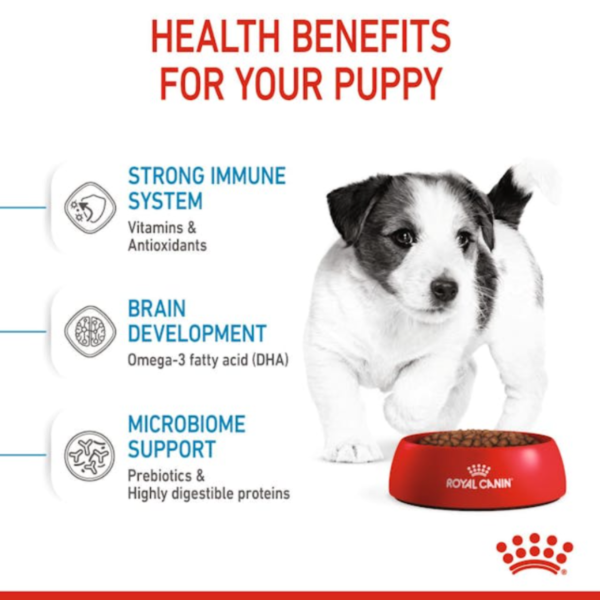 Royal Canin Puppy Mini
