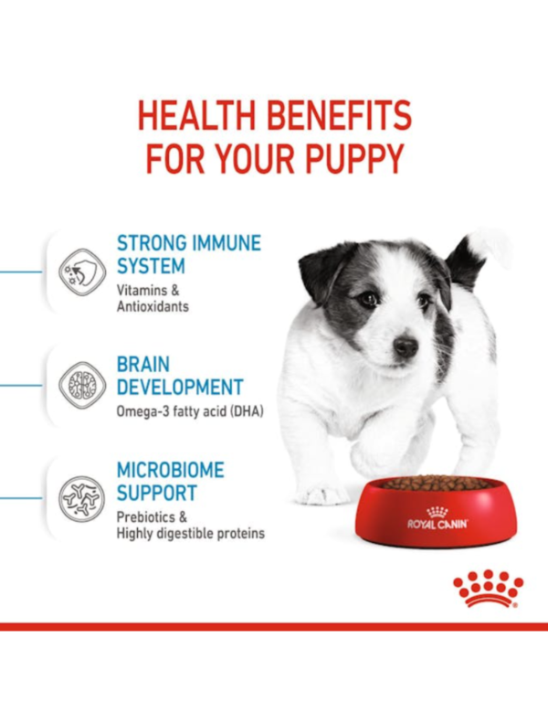 Royal Canin Puppy Mini Royal Canin Puppy Mini