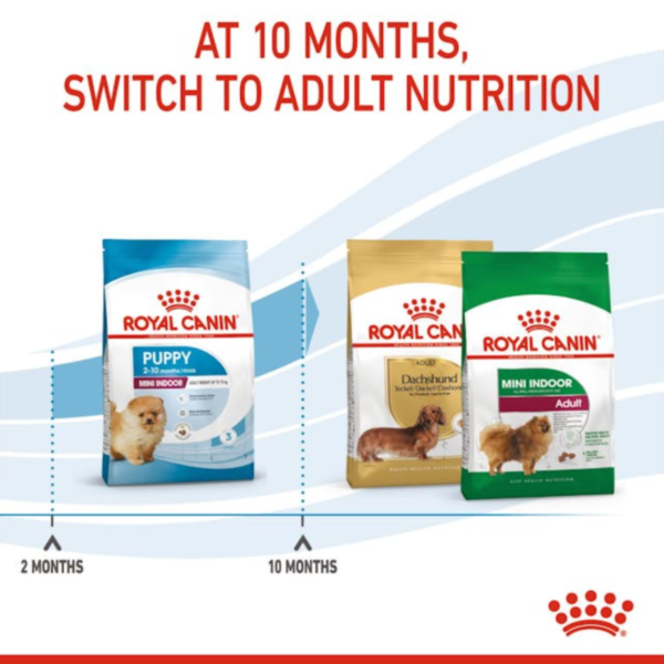 Royal Canin Puppy Mini Indoor