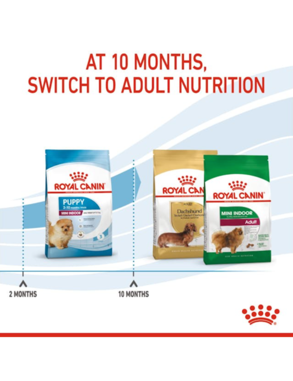 Royal Canin Puppy Mini Indoor