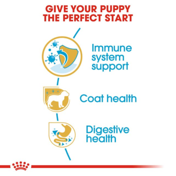 Royal Canin Puppy Poodle