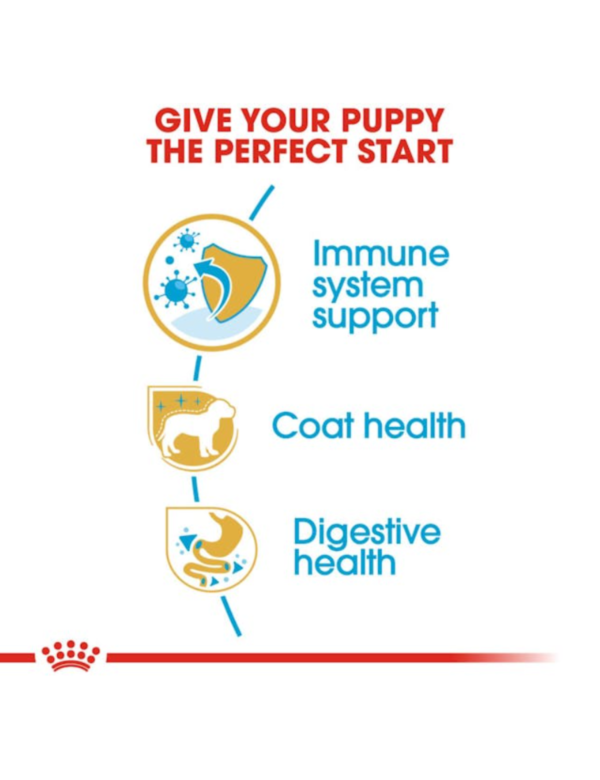 Royal Canin Puppy Poodle