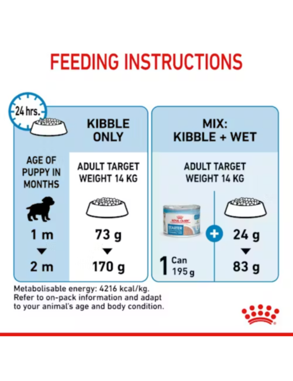 Royal Canin Medium Starter