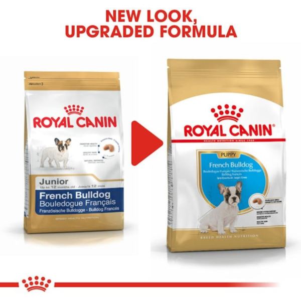 Royal Canin Puppy French Bulldog