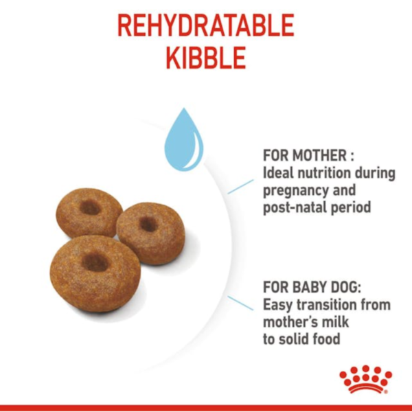 Royal Canin Maxi Starter