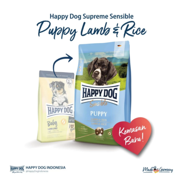 Happy Dog Puppy