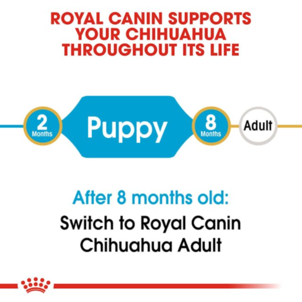 Royal Canin Puppy Chihuahua