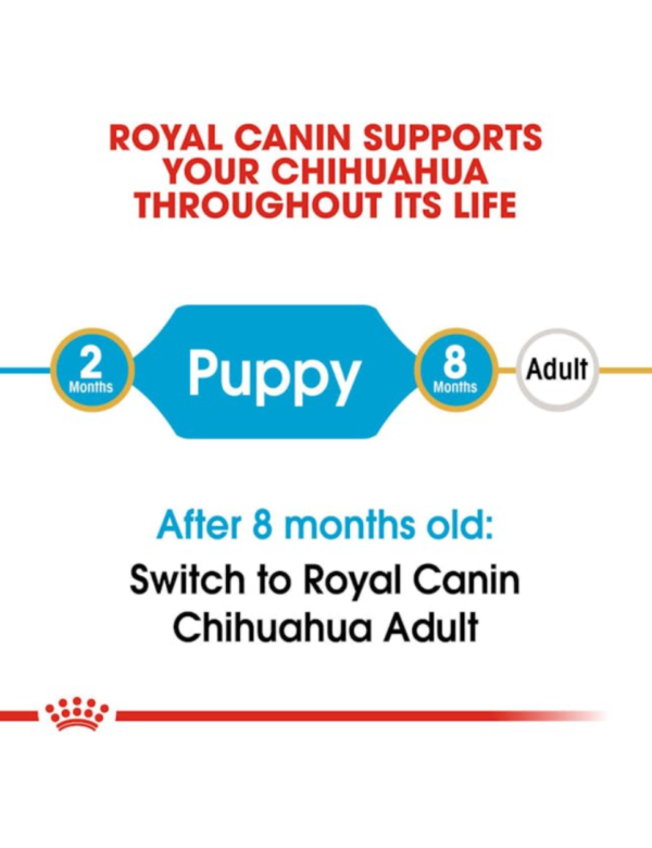 Royal Canin Puppy Chihuahua Royal Canin Puppy Chihuahua