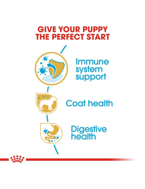Royal Canin Puppy Yorkshire Royal Canin Puppy Yorkshire