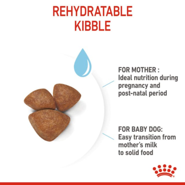 Royal Canin Mini Starter