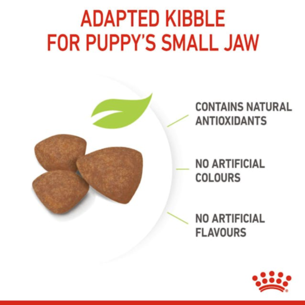 Royal Canin Puppy Mini