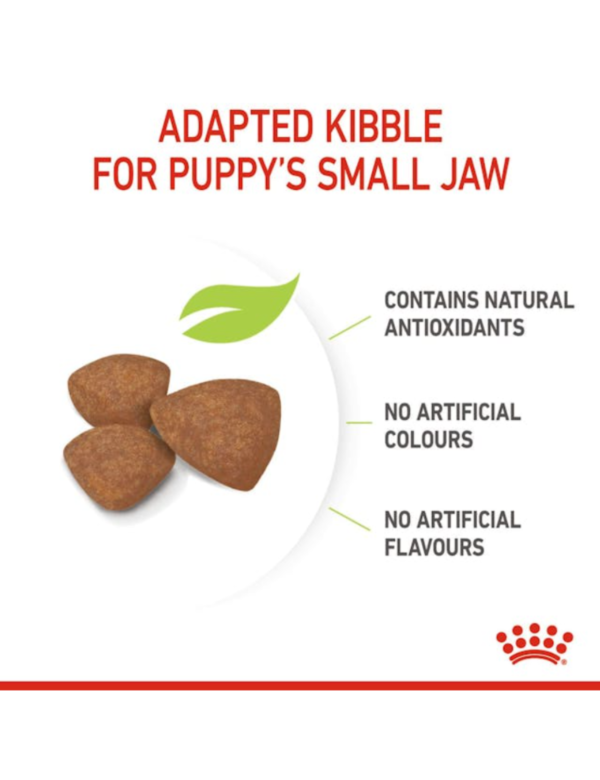 Royal Canin Puppy Mini Royal Canin Puppy Mini