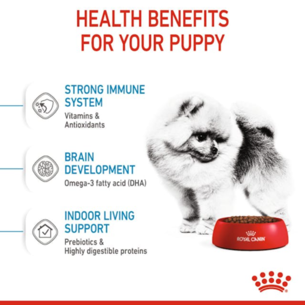 Royal Canin Puppy Mini Indoor