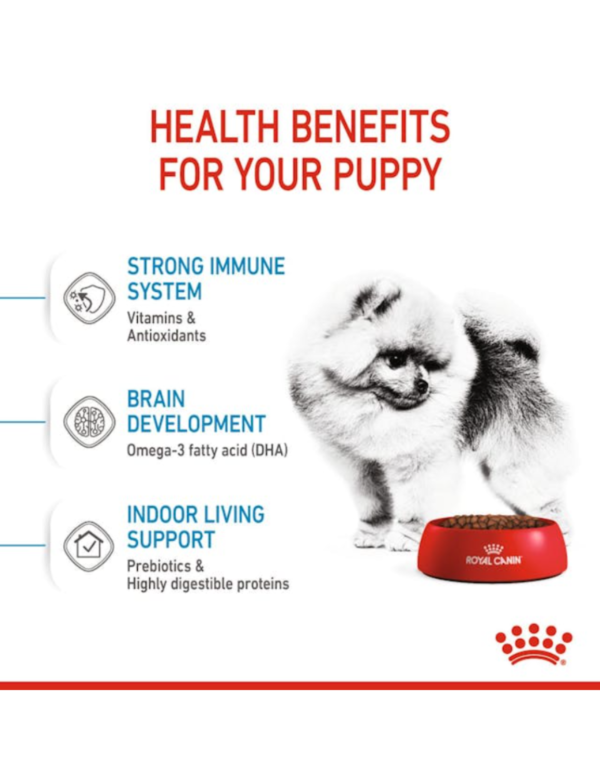 Royal Canin Puppy Mini Indoor