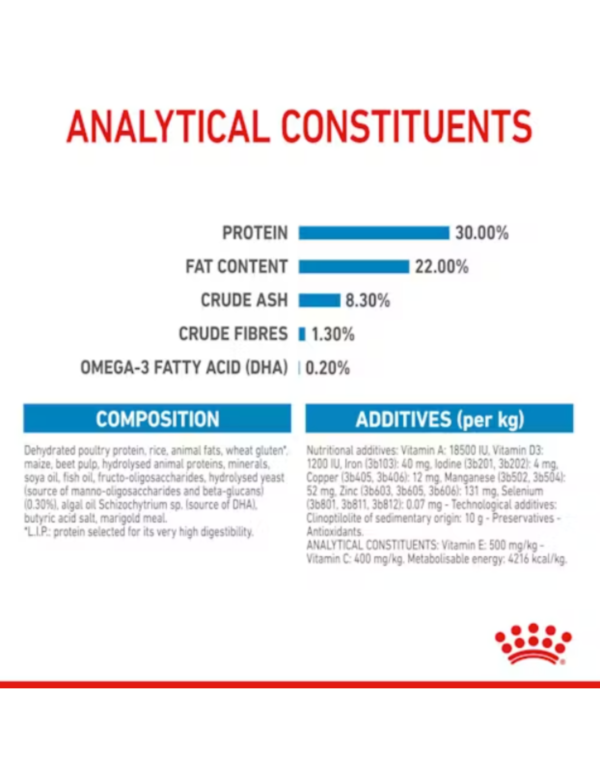 Royal Canin Medium Starter